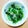 ふゆみ＠'s cooksnap of when they made 【１０分以内で】青梗菜としらすのおひたし.