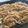 anhouse's cooksnap of when they made 絶品！豚ネギ＊オイスターソース焼きそば.