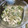 はろ。まる's cooksnap of when they made ササミときゅうりともやしのポン酢和え.