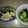 みきり～ん's cooksnap of when they made 簡単！！山芋ときゅうりの酢の物☆彡.。.
