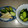 みきり～ん's cooksnap of when they made 簡単！！山芋ときゅうりの酢の物☆彡.。.