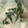 ma___111's cooksnap of when they made ☼混ぜるだけ♪はんぺんと大葉のサラダ.