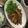 かりぷ's cooksnap of when they made 新玉ねぎと鶏肉のさっぱり煮込み.
