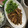 かりぷ's cooksnap of when they made 新玉ねぎと鶏肉のさっぱり煮込み.