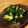 yossiey's cooksnap of when they made 超簡単♪たたききゅうりの浅漬け.