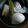 クックZD3CWA☆'s cooksnap of when they made 夏つまみ♪「冷めても美味し白だしおでん」.