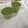◎pon◎'s cooksnap of when they made 抹茶ムースのケーキ.