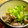 saki1010's cooksnap of when they made 砂肝のネギ塩ダレ焼き♪.