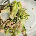 はろ。まる's cooksnap of when they made 豆苗とひき肉のピリ辛炒め.