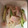 ma___111's cooksnap of when they made もやしときゅうりのごま酢和え.