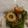 ポコニャンmkt's cooksnap of when they made 【常備菜】我が家のじゃこピーマン.