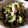 虹野kiki's cooksnap of when they made キュウリとささみのごま和え.
