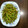 クックZYWQ5Q☆'s cooksnap of when they made 無限枝豆！枝豆のラー油炒め❤無言でどうぞ.