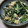 七色ワクチン's cooksnap of when they made 空芯菜としめじの卵炒め☆.