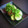 ひさかた's cooksnap of when they made ＊焼き梅干しdeきゅうりの梅おかか和え＊.