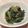chiikoneko's cooksnap of when they made 小松菜の明太子和え.