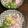 liarra's cooksnap of when they made 薬味たっぷり千切り冬瓜の麺つゆかけ.