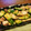 ♡sayulily♡'s cooksnap of when they made ニガウリとメカジキの炒め物.
