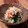ゆしゅな's cooksnap of when they made 春菊とえのきの梅和え.