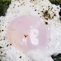 ののっく's cooksnap of when they made レンジで温玉（おんたま）.
