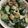 クック9P6O5D☆'s cooksnap of when they made 竹輪と胡瓜のマヨポンサラダ.