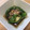 yoshimiso's cooksnap of when they made 甘長ピーマンの焼き浸し.