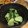 keivalen's cooksnap of when they made ★簡単！塩麹で作る＊きゅうりの浅漬け＊♪.