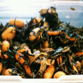 ☆モエキチ☆'s cooksnap of when they made 簡単☆大豆とツナひじきと人参の煮物♪.