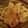 クックBNQ5PD☆'s cooksnap of when they made 筋肉鶏の美味しい茹で方（しっとり♪）.