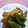 watyami's cooksnap of when they made 甘辛シリーズ②☆ししとうとエリンギ.