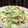 もけ's cooksnap of when they made 焼き鮭アボカド水菜のマヨサラダ.