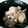 ラブ☆ヒサちゃん's cooksnap of when they made 簡単！美味！豆のクリームチーズ白和え.