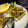 クックOX336Z☆'s cooksnap of when they made おばあちゃん家のフキの煮物☆.