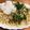 さらつむとし's cooksnap of when they made ツナと大根おろしのさっぱり冷製パスタ.