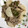 ミミコロトラ's cooksnap of when they made 豚肉と長芋の青じそ炒め.