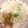 しらたま☆タブ's cooksnap of when they made ニョッキのチーズクリームソース.