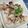 PERA☆☆☆'s cooksnap of when they made イカのバター焼き(ᵔᴥᵔ).