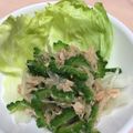 クックB2NGBI☆'s cooksnap of when they made ☆ゴーヤーと新玉ねぎのツナポン和え☆.