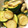 クックUVRX2C☆'s cooksnap of when they made あっというま♪ズッキーニとエリンギで一品.