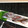 horseland's cooksnap of when they made アジの押し寿司 にぎり寿司 駅弁風.