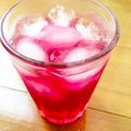 雛鳥と親鳥's cooksnap of when they made 採れたてシソのシソジュース.