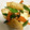 トロイメライ♬'s cooksnap of when they made あと一品！厚揚げといんげんの生姜焼き.
