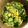 クックGB6431☆'s cooksnap of when they made 白だしdeやみつききゅうり.