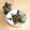 B_C_M's cooksnap of when they made ピーマンとパプリカの黒胡麻和え.