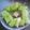antowa's cooksnap of when they made くるくるロールキャベツさらだ♪.