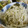 低カロ探検隊's cooksnap of when they made しらたきの明太子和え.