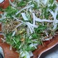ＭＯＳ's cooksnap of when they made パリパリ！大根と水菜のじゃこサラダ.