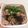 みんぐり's cooksnap of when they made 豚肉と茄子のポン酢炒め.