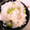 choco831's cooksnap of when they made ♡冷凍枝豆としらすの簡単混ぜご飯♡.