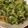 クックえみりん☆'s cooksnap of when they made 夏の定番！きゅうりの中華クラゲ和え.